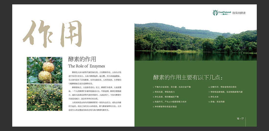 善地生物科技宣傳冊_酵素飲料產(chǎn)品冊-13