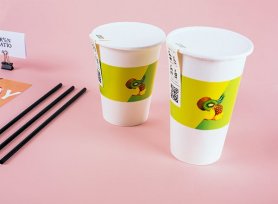 品牌果汁店VI設(shè)計(jì)手冊(cè)的核心競(jìng)爭(zhēng)力